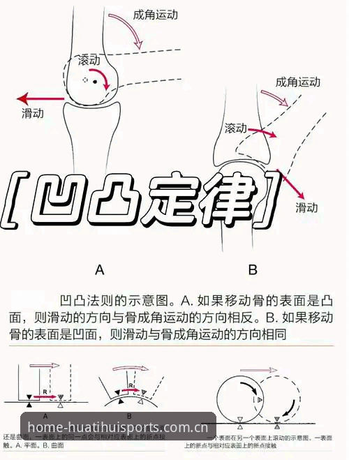 华体会体育平台使用技巧最新动态：陈毅分享的五大创新玩法让体验升级